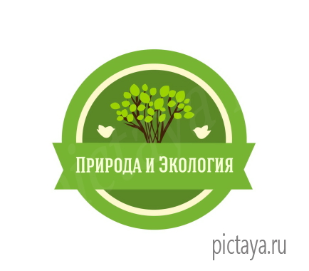 Для экологии и природы, логотип с изображением дерева и птицами