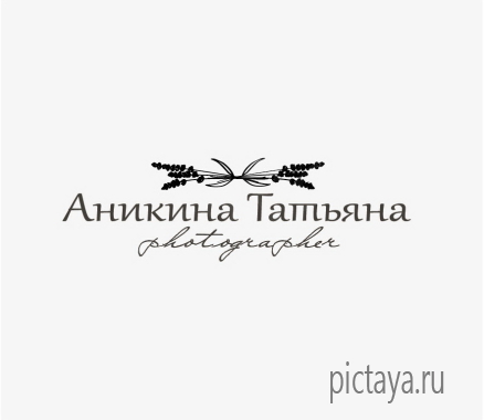 Логотип для фотографа Аникиной Татьяны